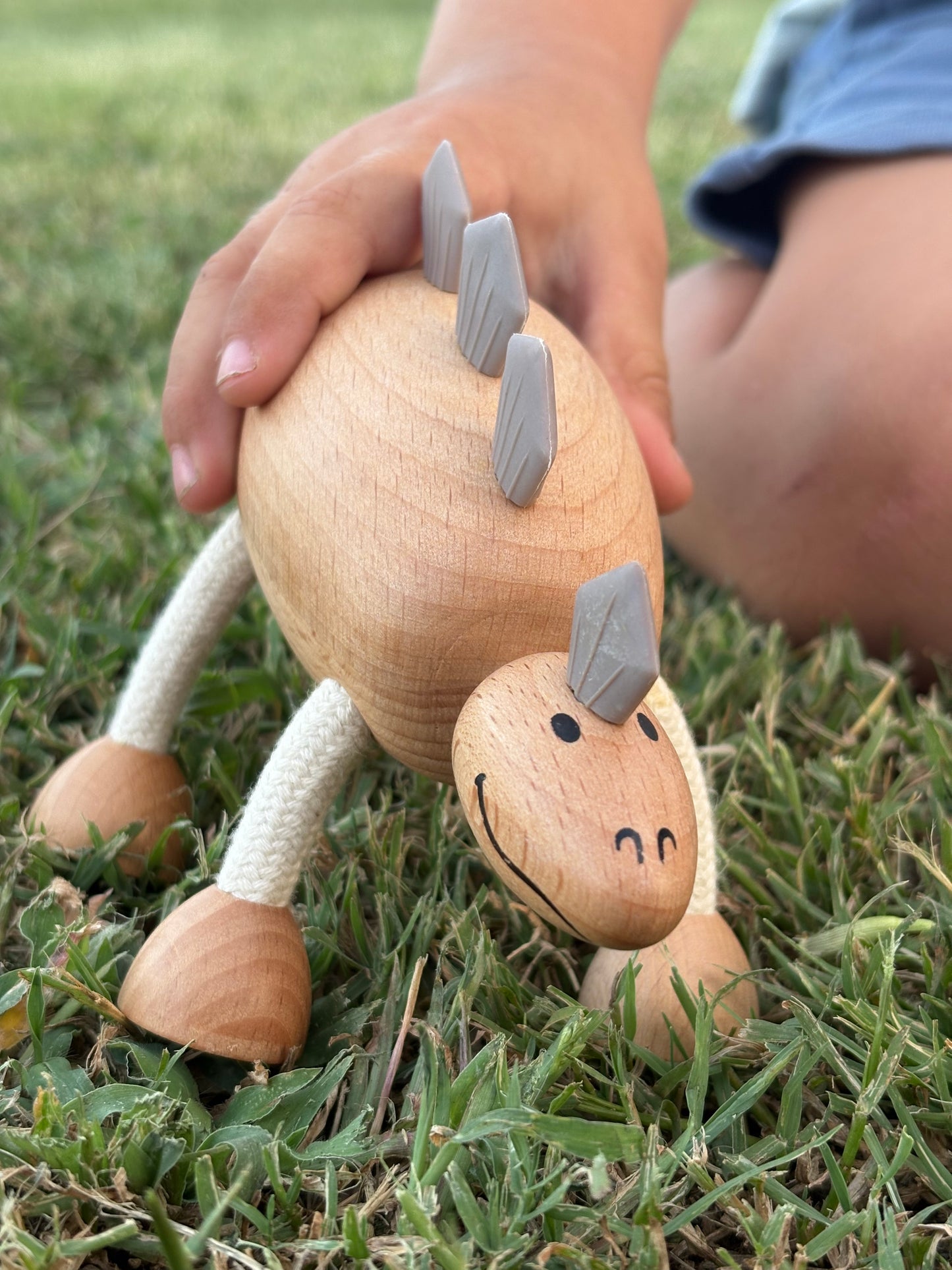 Role Play Toys